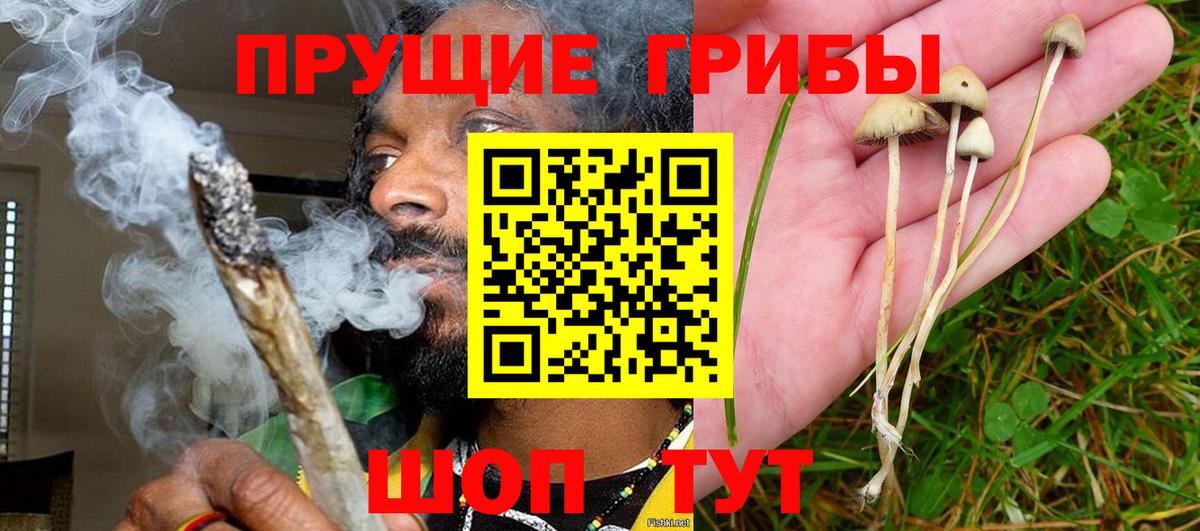 Галлюциногенные грибы мицелий Усть-Кут